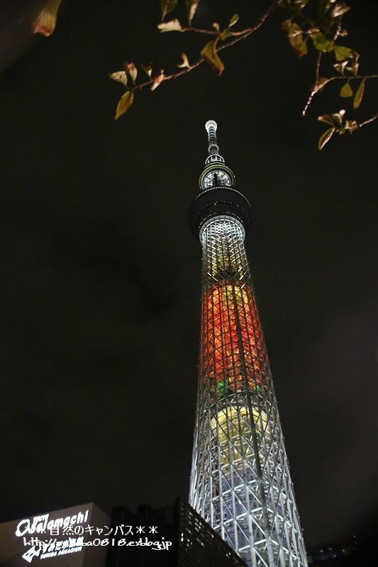 e0052135_17331159.jpg