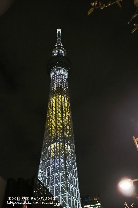 e0052135_17331639.jpg