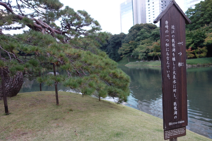a0287336_21395230.jpg