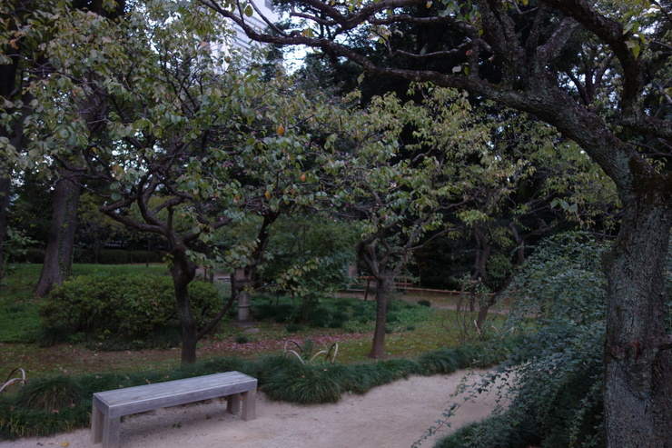 a0287336_23142491.jpg