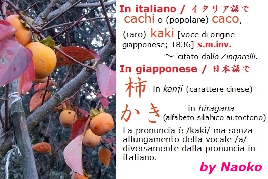 柿とイタリア イタリア語 イタリア写真草子 柿とイタリア イタリア語 イタリア写真草子