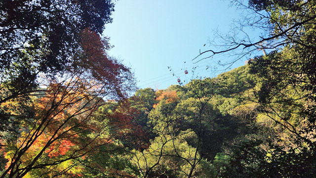 布引~修法ガ原~太師道 紅葉に染まる散策路_c0218841_15113346.jpg