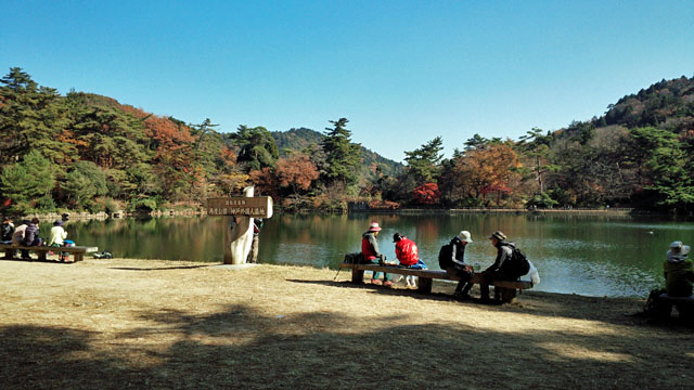 布引~修法ガ原~太師道 紅葉に染まる散策路_c0218841_15165612.jpg