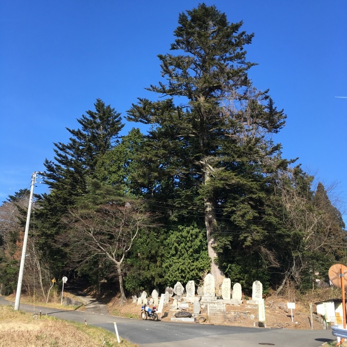 f0363741_23372296.jpg