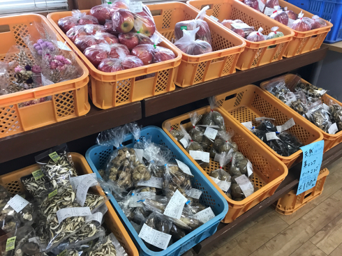 道の駅いわいずみ〜仮オープンから1ヶ月〜_b0199244_16054085.jpg