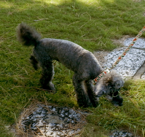 d0026745_02311626.jpg