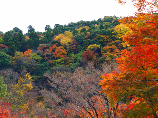 a0024250_10170491.jpg