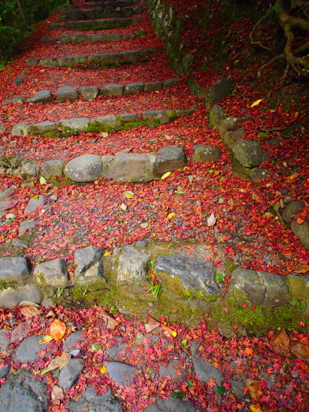 a0024250_10170572.jpg