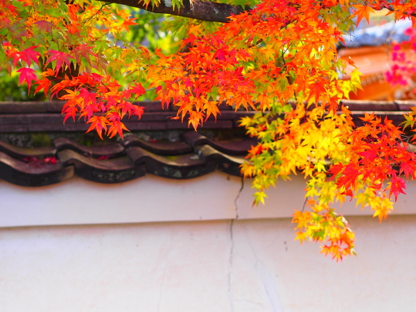 a0024250_10201255.jpg