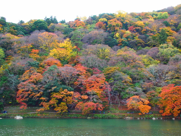 a0024250_10201360.jpg
