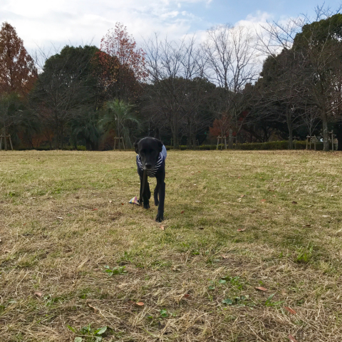 王仁公園と伝王仁墓史跡_f0337250_17570069.jpg