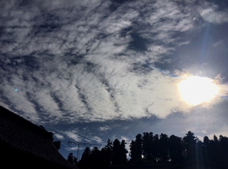 b0173754_15565530.jpg