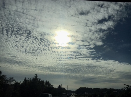 b0173754_15570277.jpg
