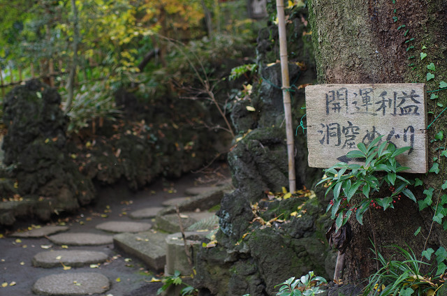 埼玉県和光市白子／板橋区成増　　晩秋の湧水・洞窟・切り通し_c0080357_17104496.jpg