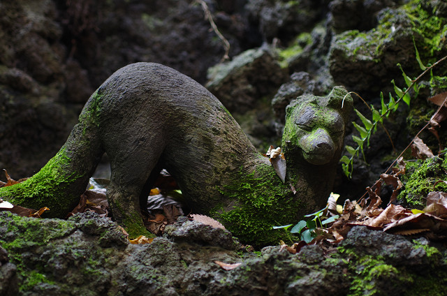 埼玉県和光市白子／板橋区成増　　晩秋の湧水・洞窟・切り通し_c0080357_17131686.jpg