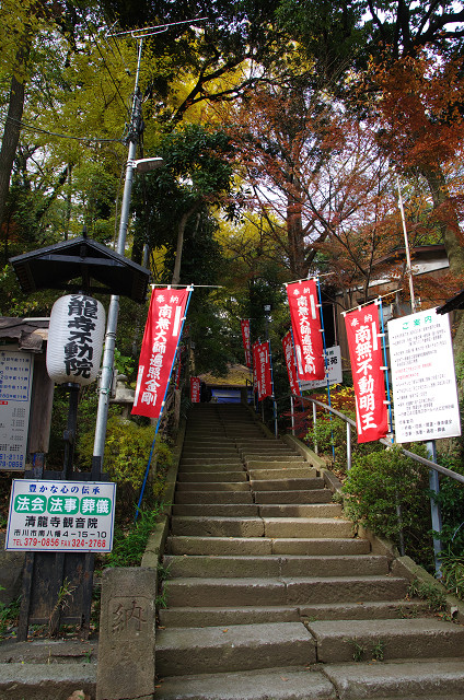 埼玉県和光市白子／板橋区成増　　晩秋の湧水・洞窟・切り通し_c0080357_1795267.jpg