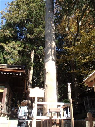 e0044657_225679.jpg