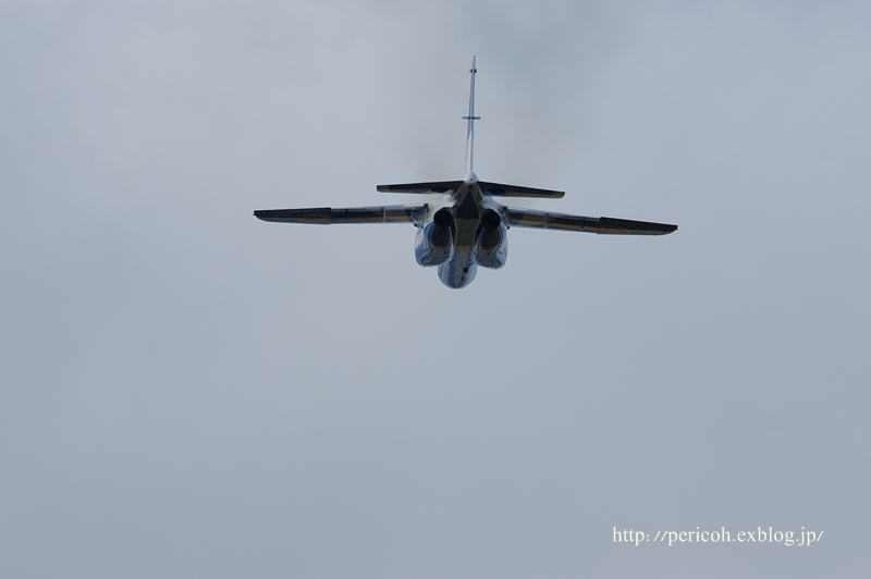 ブルーのT-4＆U-125A＠名古屋飛行場_c0354758_21053130.jpg