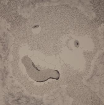 d0118360_21343583.jpg