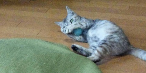 12月の陶芸教室にて♪_f0374160_21574968.jpg