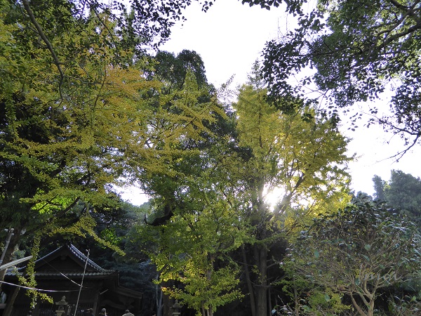 c0222861_2065762.jpg