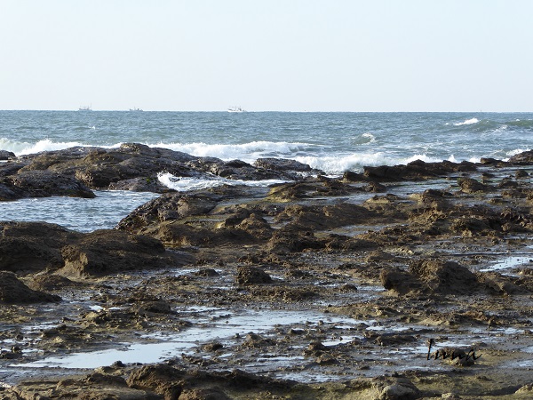 c0222861_2083312.jpg