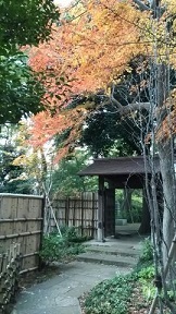 五島美術館庭園　秋の紅葉_f0148563_13192434.jpg