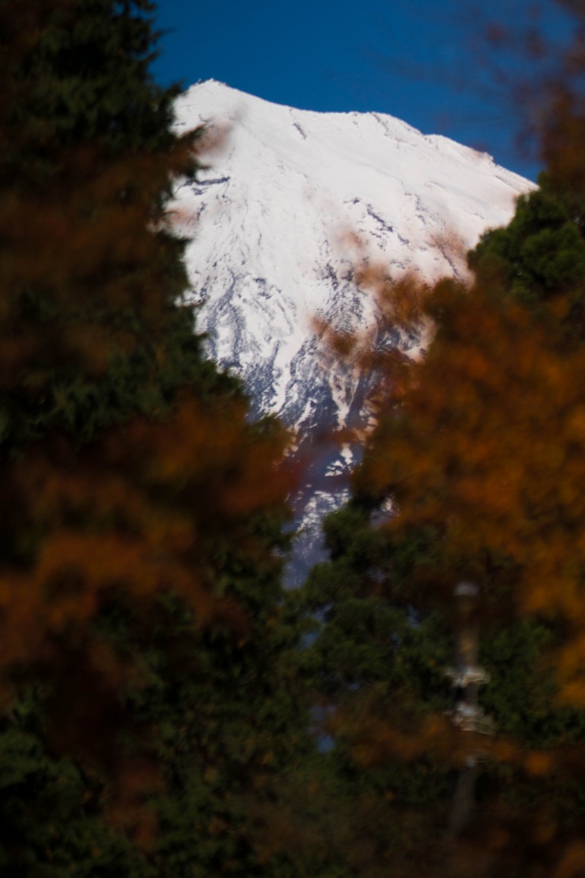 c0260264_20515876.jpg