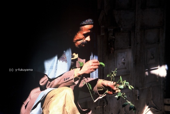 Photo album 42 _ Sana\'a  , Yemen (1999) _f0057070_21222366.jpg
