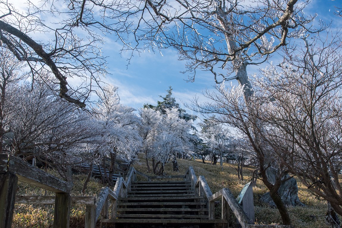 今季最後の東大台　その2/2_c0350572_13581034.jpg