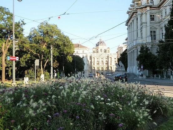 e0181876_14201318.jpg