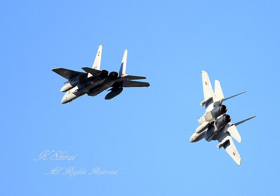 入間基地航空祭2016.　　～　F-15 J　イーグル　帰投　～_c0073377_09523112.jpg