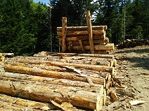 e0098078_2130388.jpg