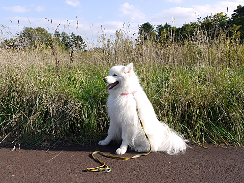 c0209379_1423628.jpg