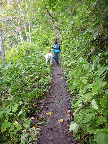 c0209379_1563815.jpg