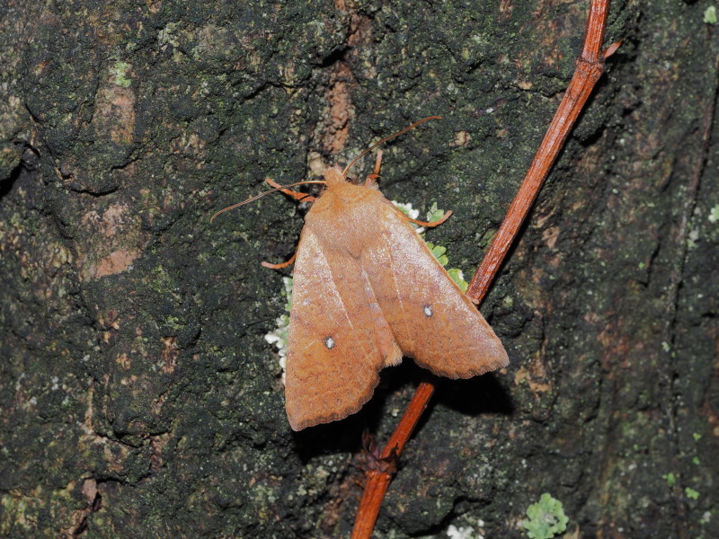 b0368380_22095813.jpg