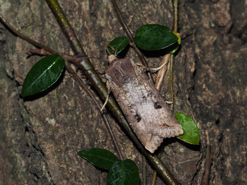 b0368380_22130646.jpg