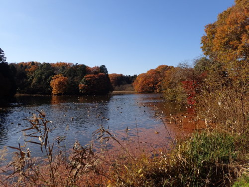 f0348480_11401755.jpg