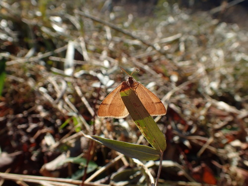 f0348480_11431525.jpg