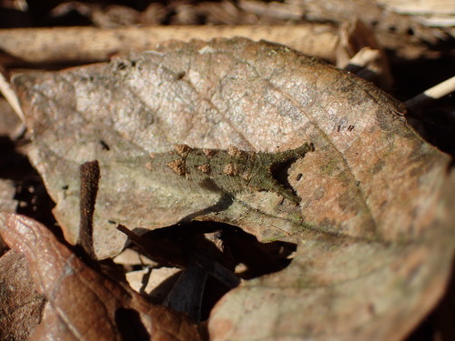 f0348480_11454082.jpg