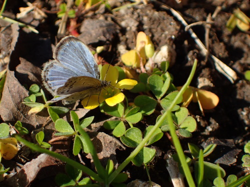 f0348480_11493172.jpg