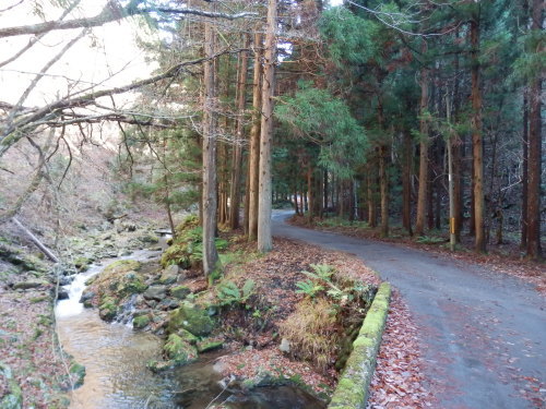 b0334084_22085032.jpg