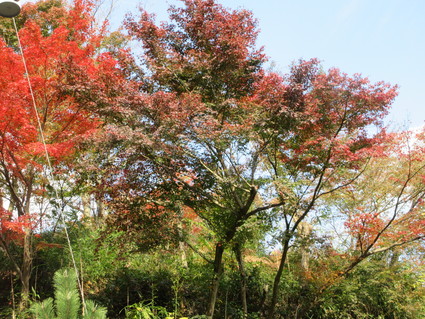 f0053885_19391041.jpg