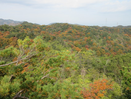 f0053885_19422949.jpg