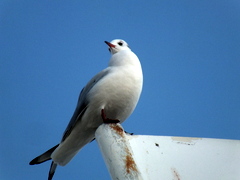 b0192588_9254572.jpg