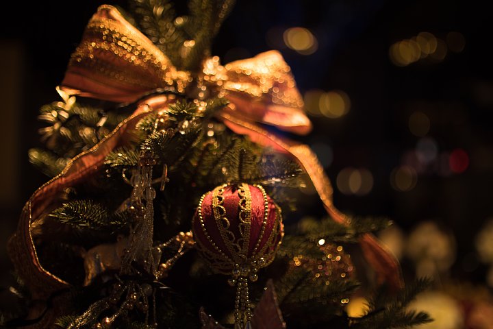 d0353489_21521191.jpg