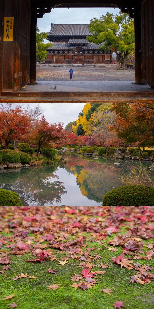 京都の紅葉_e0134694_220221.jpg