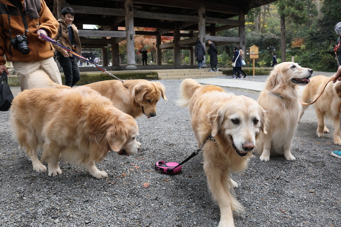 リアルハナとお散歩！の会　　速報_b0275998_153493.jpg