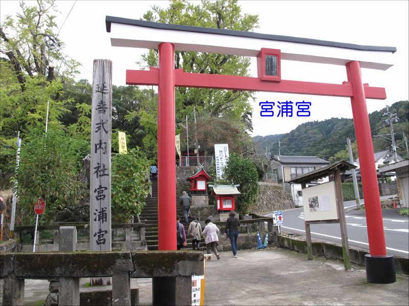 f0059498_920540.jpg