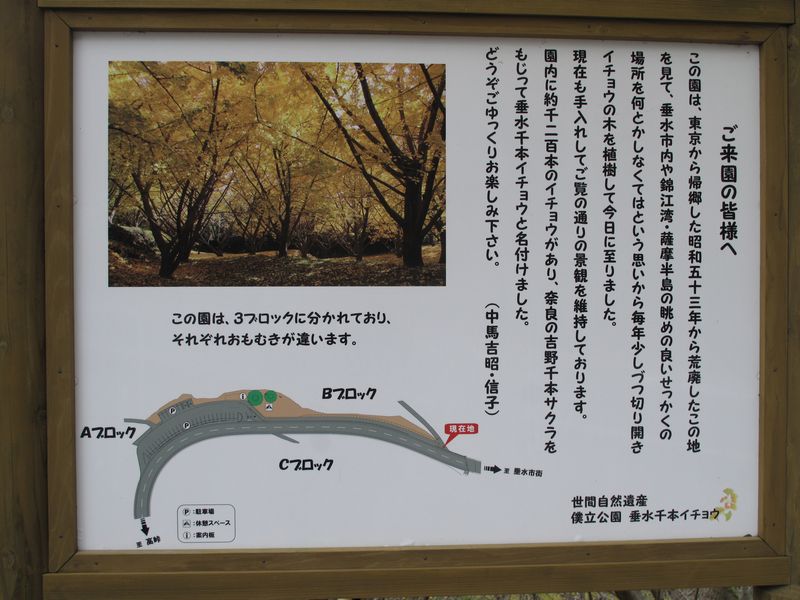 f0059498_9225057.jpg